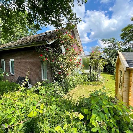 Rustig Gelegen Vakantiebungalow Kortgene Zewnętrze zdjęcie